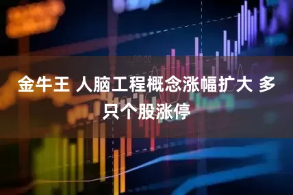 金牛王 人脑工程概念涨幅扩大 多只个股涨停